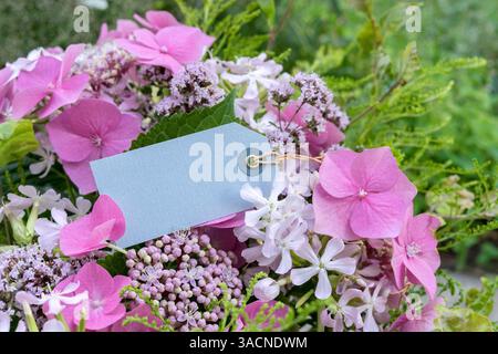 Bouquet d'été avec hortensias roses, soapwort et origan Banque D'Images
