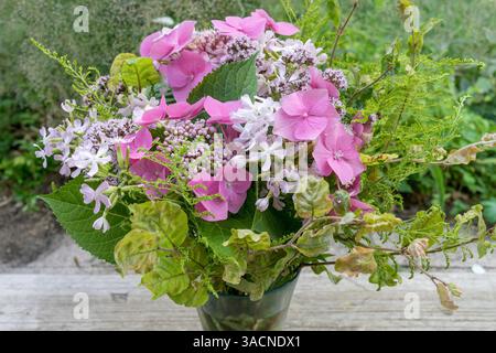 Bouquet d'été avec hortensias roses, soapwort et origan Banque D'Images