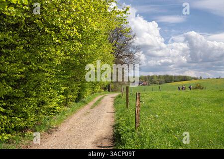 Paysage panoramique de sentier de randonnée à travers les prairies avec des nuages et le ciel bleu au printemps dans Bergisches Land, Allemagne Banque D'Images