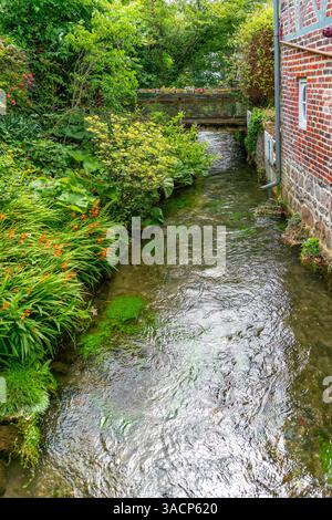 Paysage autour de la rivière Veules à Veules-les-Roses, commune du département de la Seine-maritime en région Normandie Banque D'Images