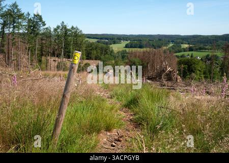 Sentier de randonnée longue distance Bergischer Panoramasteig avec l'accent sur le waymark typique en Allemagne Banque D'Images