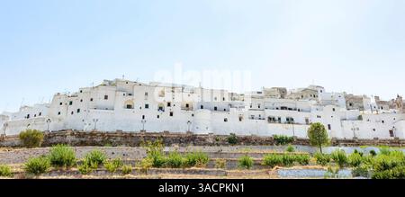 Les bâtiments blanchis à la chaux d'Ostuni, la ville Blanche, créent une ligne d'horizon charmante contre un ciel bleu clair d'été dans les Pouilles, en Italie Banque D'Images