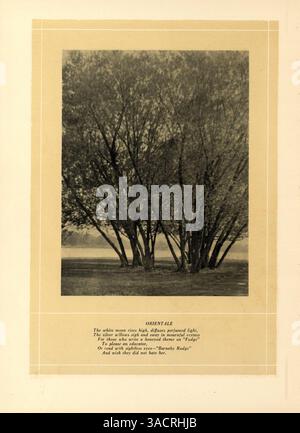 L'annuaire 'Hesperian' 1923 de West High School met en lumière les élèves, les enseignants, les clubs, les sports et les événements importants de l'année scolaire 1922-1923. Banque D'Images