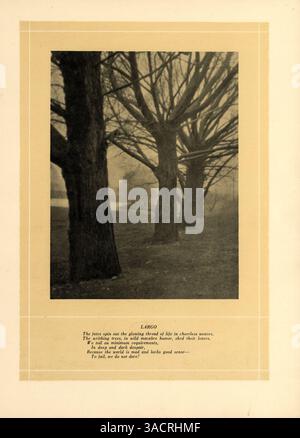 Cet annuaire « Hesperian » 1923 de West High School met en lumière les réalisations académiques, les équipes sportives, les professeurs et les événements étudiants importants de l'année scolaire 1922-1923. Banque D'Images