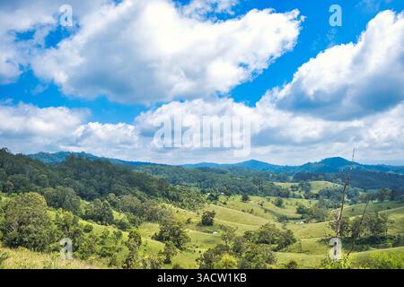 Collines idylliques et vallée avec des prairies verdoyantes et des forêts dans la région de Hunter, Nouvelle-Galles du Sud, Australie Banque D'Images