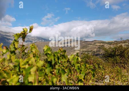 Plateau de Nida, éoliennes près d'Agia Varvara, montagnes d'Ida, île grecque, Crète, Grèce Banque D'Images