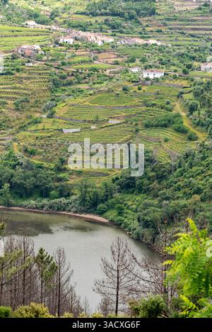 Serein vallée du Douro vu du point de vue de Barqueiros, Portugal Banque D'Images