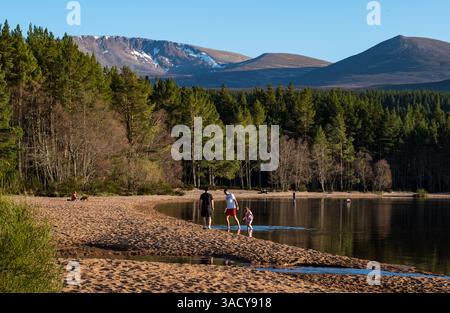 Loch Morlich, Aviemore, Écosse, Royaume-Uni 4 avril 2025. Météo britannique : les gens apprécient les derniers rayons sur l'eau sur la plage. Crédit : Sally Anderson/Alamy Live News Banque D'Images