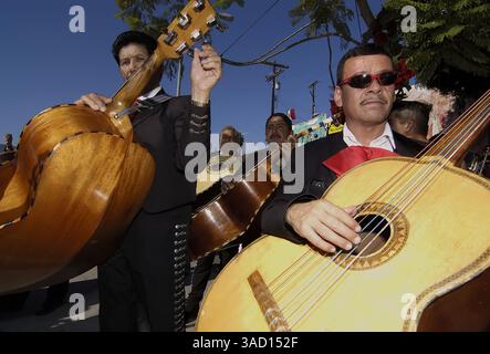 22 novembre 2005 - East Los Angeles, Californie, États-Unis - des musiciens jouent à Mariachi Plaza à Boyle Heights, un quartier près du centre-ville de Los Angeles, le mardi 22 novembre 2005 lors du Festival Mariachi annuel, qui honore Sainte Cécile, la patronne des musiciens. (Crédit image : © Brian Cahn/ZUMAPRESS.com) Banque D'Images