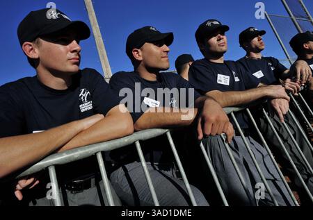 22 janvier 2008 - Kissimmee, Floride, États-Unis - les élèves se réunissent le long de la première ligne de base et attendent que les exercices de l'après-midi commencent à la Jim Evans Academy of Professional Umpiring au Osceola County Stadium and Sports Complex à Kissimmee, Floride, le mercredi 9 janvier 2008. Au cours d'un cours professionnel de 5 semaines avec instruction en classe et sur le terrain d'un personnel dirigé par l'ancien chef d'équipe de la Ligue américaine Jim Evans, les étudiants apprennent les principes fondamentaux et les points plus fins de l'arbitrage, en mettant l'accent sur la mécanique appropriée, les signaux, la communication et l'application des règles. Des 125 étudiants Banque D'Images