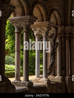 Abbaye de Fontfroide, Narbonne, Occitanie, France. Banque D'Images