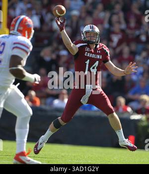 12 novembre 2011 - Columbia, SC, USA - le quarterback des Gamecocks de Caroline du Sud Connor Shaw (14 ans) complète une passe au récepteur large des Gamecocks de Caroline du Sud Alshon Jeffery (1 an) au premier trimestre. Les Gamecocks de Caroline du Sud ont battu les Gators de Floride, 17-12, au Williams-Brice Stadium de Columbia, Caroline du Sud, le samedi 12 novembre 2011. (Crédit image : © Gerry Melendez/The State/MCT/ZUMAPRESS.com) Banque D'Images