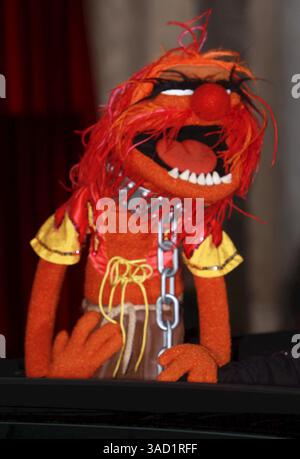12 novembre 2011 - Hollywood, Californie, États-Unis - animal à la première mondiale 'The Muppets' au théâtre El Capitan Hollywood California. (Crédit image : © Glenn Weiner/ZUMAPRESS.com) Banque D'Images