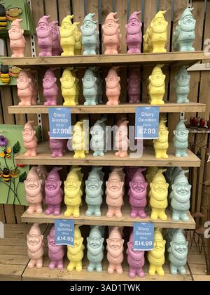 Harleston Heath Garden Centre Northampton Northamptonshire Angleterre Royaume-Uni fleurs de jardin britannique plantes plantes Nouveautés de printemps vendre des marchandises jolies Banque D'Images