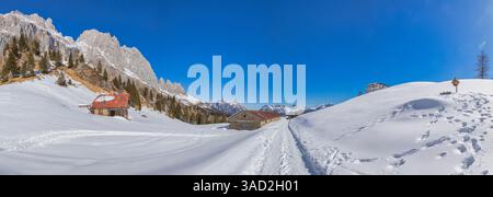 Panorama à la montagne Losch alm avec les structures de la vieille alm et le refuge Scarpa / Gurekian, Dolomites Agordino, municipalité de Voltago Agordino, province de Belluno, Vénétie, Italie Banque D'Images