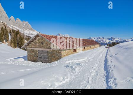 Panorama à la montagne Losch alm avec les structures de la vieille alm, Dolomites Agordino, municipalité de Voltago Agordino, province de Belluno, Vénétie, Italie Banque D'Images