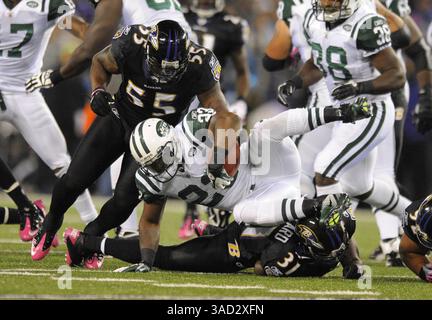 2 octobre 2011 - Baltimore, MD, États-Unis - Shonn Greene des jets de New York est attaqué pour une défaite de 2 yards au 2e quart-temps d'action contre les Ravens de Baltimore au M&T Bank Stadium de Baltimore, Maryland, dimanche 2 octobre 2011. (Crédit image : © Lloyd Fox/Baltimore Sun/MCT/ZUMAPRESS.com) Banque D'Images