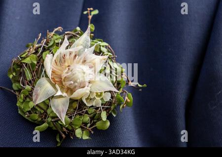 Gros plan d'une veste de marié avec décoration florale Banque D'Images