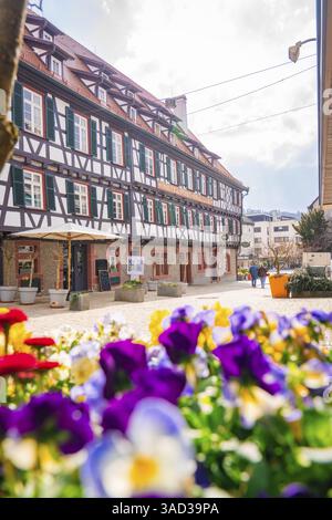 Scène de rue avec maison à colombages et fleurs colorées au premier plan, Nagold, Forêt Noire, Allemagne, Europe Banque D'Images