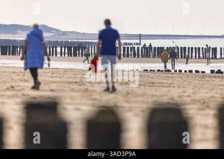 Silhouettes de marcheurs sur la plage avec des piles en bois, groynes, Breskens, Zélande, pays-Bas Banque D'Images