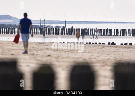 Silhouettes de marcheurs sur la plage avec des piles en bois, groynes, Breskens, Zélande, pays-Bas Banque D'Images