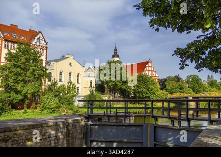 Église franciscaine et monastère d'Opole Venise, Opole - Pologne Banque D'Images