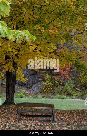 États-Unis, New York. Parc banc dans le parc d'État de Taughannock Falls. Banque D'Images