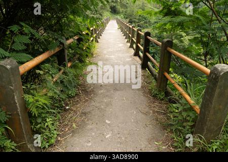 perspective of old bridge in deep forest, no one there, mysterious and creepy Banque D'Images