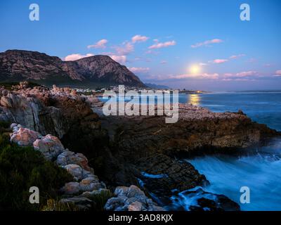Supermoon se lève au-dessus de Walker Bay. Hermanus. Whale Coast. Overberg. Cap occidental. Afrique du Sud. Banque D'Images