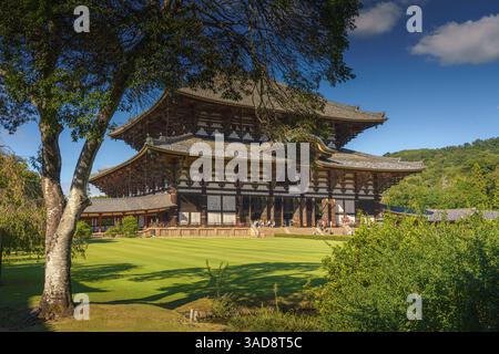 Nara, Japon - septembre 26 2024, vue panoramique du temple Todaiji avec pelouse et arbres au premier plan, en journée avec ciel bleu clair, Nara, Japon Banque D'Images