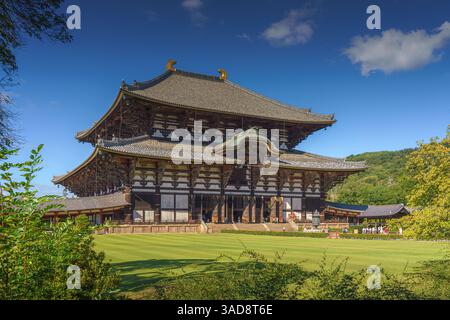 Nara, Japon - septembre 26 2024, vue panoramique du temple Todaiji avec pelouse et arbres au premier plan, en journée avec ciel bleu clair, Nara, Japon Banque D'Images