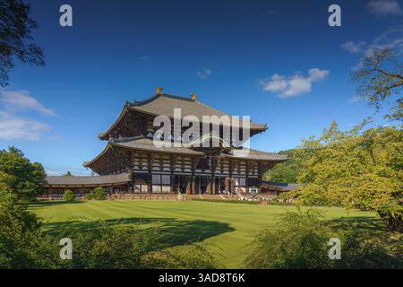 Nara, Japon - septembre 26 2024, vue panoramique du temple Todaiji avec pelouse et arbres au premier plan, en journée avec ciel bleu clair, Nara, Japon Banque D'Images