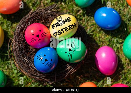 Bavière, Allemagne - 5 avril 2025 : FOTOMONTAGE, des œufs de Pâques colorés avec des visages de lapin et de joyeuses salutations de Pâques se trouvent dans le nid et répandent une ambiance joyeuse de Pâques sur une pelouse printanière verte. *** FOTOMONTAGE, Bunte Ostereier mit Hasengesichtern und Frohe Ostern-Gruß liegen im Nest und verbreiten fröhliche Osterstimmung auf grünem Frühlingsrasen. Banque D'Images