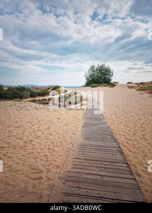 Promenade en bois serpentant à travers des dunes de sable avec une végétation clairsemée sous un ciel nuageux, menant vers la mer à l'horizon Banque D'Images