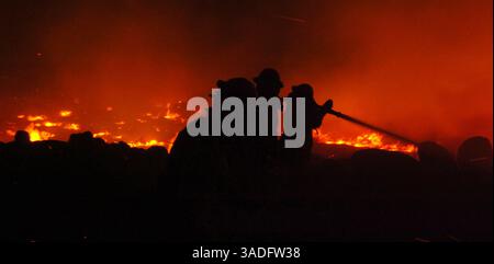 11 juillet 2004 ; Palm Springs, CA, États-Unis ; les pompiers combattent des flammes entraînées par le vent près de la région sauvage de San Jacinto alors qu'un feu de broussailles brûle hors de contrôle près de Palm Springs. Plus de 600 acres ont été brûlés. Les vents extrêmes, les températures dans les années 100, et le faible taux d'humidité, maintiennent la petite communauté de Snow Creek en alerte. (Crédit image : Steven K. Doi/ZUMAPRESS.com) Banque D'Images