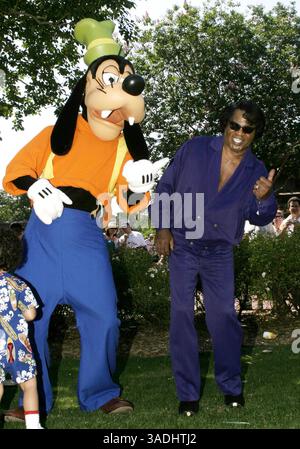 04 mai 2003 ; Lake Buena Vista, FL, États-Unis ; (PHOTO DU DOSSIER) le 'parrain de l'âme' JAMES BROWN a sorti une pleine page annonce une photographie de cette série dans le numéro de juillet 21-27 de Variety, annonçant un divorce avec sa femme TOMI RAE BROWN.. (Crédit image : Preston Mack/ZUMAPRESS.com) Banque D'Images
