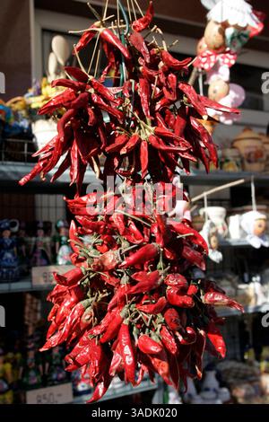 17 février 2008 - Heviz, Hongrie - grappes de poivrons rouges séchés exposées à Heviz, Hongrie. Le paprika est une épice issue du broyage de poivrons rouges sucrés séchés et est utilisé comme ingrédient dans une grande variété de plats à travers le monde (crédit image : NorthFoto/ZUMAPRESS.com) Banque D'Images