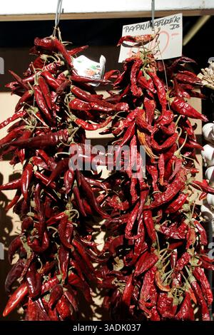 17 février 2008 - Heviz, Hongrie - grappes de poivrons rouges séchés exposées à Heviz, Hongrie. Le paprika est une épice issue du broyage de poivrons rouges sucrés séchés et est utilisé comme ingrédient dans une grande variété de plats à travers le monde (crédit image : NorthFoto/ZUMAPRESS.com) Banque D'Images