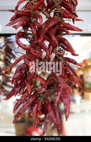 17 février 2008 - Heviz, Hongrie - grappes de poivrons rouges séchés exposées à Heviz, Hongrie. Le paprika est une épice issue du broyage de poivrons rouges sucrés séchés et est utilisé comme ingrédient dans une grande variété de plats à travers le monde (crédit image : NorthFoto/ZUMAPRESS.com) Banque D'Images