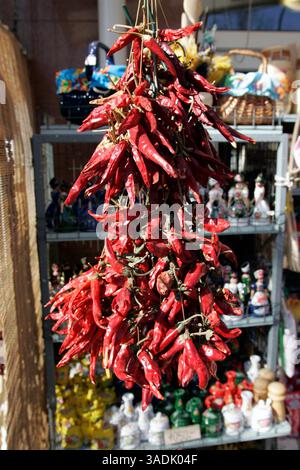 17 février 2008 - Heviz, Hongrie - grappes de poivrons rouges séchés exposées à Heviz, Hongrie. Le paprika est une épice issue du broyage de poivrons rouges sucrés séchés et est utilisé comme ingrédient dans une grande variété de plats à travers le monde (crédit image : NorthFoto/ZUMAPRESS.com) Banque D'Images
