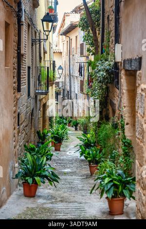 Ruelle étroite décorée d'une multitude de plantes en pot et de fleurs à côté des portes des maisons, la Fresneda, Teruel Banque D'Images