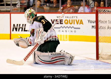 8 mars 2012 - Glendale, Arizona, U. S - le gardien du Minnesota Wild Matt Hackett (31) avec une sauvegarde de gants dans le match de hockey de la LNH entre le Minnesota Wild et les Phoenix Coyotes à l'aréna Jobing.com à Glendale, AZ. (Crédit image : © Keith Charles/Southcreek/ZUMAPRESS.com) Banque D'Images
