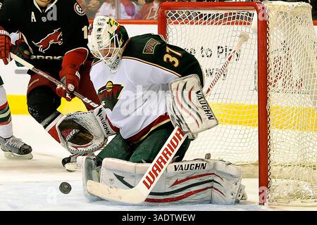 8 mars 2012 - Glendale, Arizona, U. S - le gardien du Minnesota Wild Matt Hackett (31) avec une sauvegarde dans le match de hockey de la LNH entre le Minnesota Wild et les Phoenix Coyotes à l'aréna Jobing.com à Glendale, AZ. (Crédit image : © Keith Charles/Southcreek/ZUMAPRESS.com) Banque D'Images