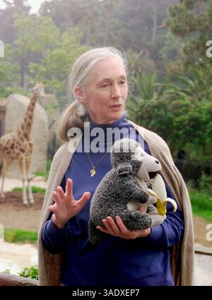 31 mai 2001 ; Santa Barbara, CA, États-Unis ; la primatologue JANE GOODALL discute de son programme environnemental et humanitaire Roots & Shoots pour les jeunes lors d’une visite au zoo de Santa Barbara. . (Crédit image : P.J. Heller/ZUMAPRESS.com) Banque D'Images
