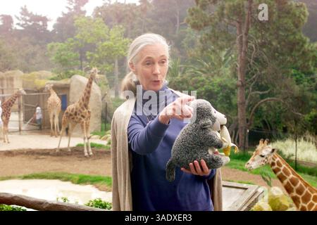 31 mai 2001 ; Santa Barbara, CA, États-Unis ; la primatologue JANE GOODALL discute de son programme environnemental et humanitaire Roots & Shoots pour les jeunes lors d’une visite au zoo de Santa Barbara. . (Crédit image : P.J. Heller/ZUMAPRESS.com) Banque D'Images