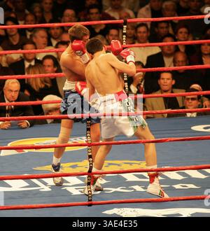 19 mars 2005 ; Las Vegas, NV, États-Unis ; le poids léger JULIO CAESAR CHAVEZ Jr, de Culican, MX, fils du légendaire combattant J.C. Chavez améliore son record à 17-0 avec un 4e tour à élimination directe de RYAN MARALDO d'Indianapolis à la MGM. J.C. Chavez Sr. vu au bord du ring, juste à droite de son fils, le regarde utiliser un tir à gauche au foie, considéré comme le coup de marque du père. (Crédit image : Roger Williams/ZUMAPRESS.com) Banque D'Images