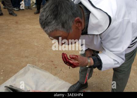 31 juil. 2007 - Île de Baffin, Nunavut, Canada - un aîné Inuit tue, coupe et épluche un phoque (peut-être un phoque annulaire) sur l'île de Baffin, dans l'Arctique canadien. (Crédit image : VW pics/ZUMAPRESS.com) Banque D'Images