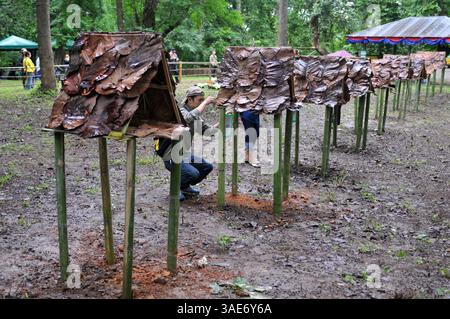 Jun 18, 2008 - Chiang mai, Thaïlande - Chiang mai, la deuxième plus grande ville de Thaïlande et une plaque tournante majeure du tourisme détient un sombre secret qui pourrait être une scène d'un film d'horreur. Au fond de la forêt de la jungle, à l’ombre du temple Doi Kham, une cérémonie rituelle se déroule au milieu des habitants frénétiques, émerveillés et choqués et d’une poignée de touristes, dans une brume d’insectes et de délire. Un écolier dévore un buffle fraîchement abattu qui se trouve sous lui comme un tapis sanglant. Des dalles de viande sensuelle, des boyaux suspendus et un seau plein de sang sont les spécialités du jour. La forêt pue la chair en décomposition an Banque D'Images