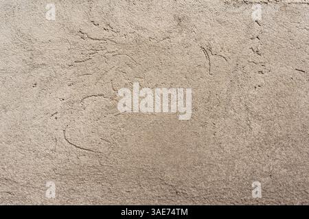 Texture de surface en béton avec des fissures et un motif frid - fond haute résolution pour la retouche. Pefect pour une utilisation comme arrière-plan, superposition. Banque D'Images