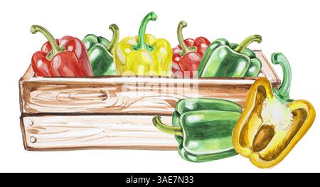 Poivron rouge aquarelle isolé sur blanc. Illustration végétale dessinée à la main. Clipart de couverture de livre de menu ou de cuisine. Illustration d'épices au poivre. Banque D'Images